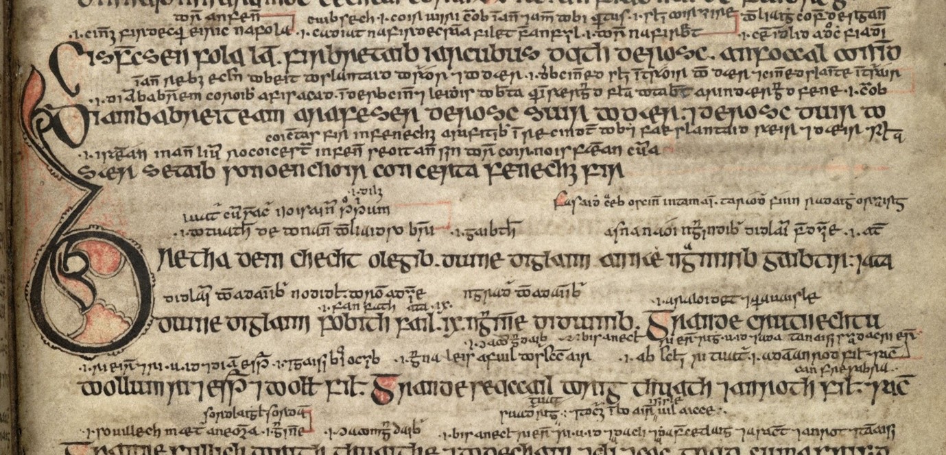 When Early Irish Law Outpaces Us: Binchy, Bretha Crólige and the Curious Case of Sick-Maintenance